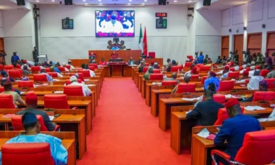 Nigerian Senate 1024x576 2