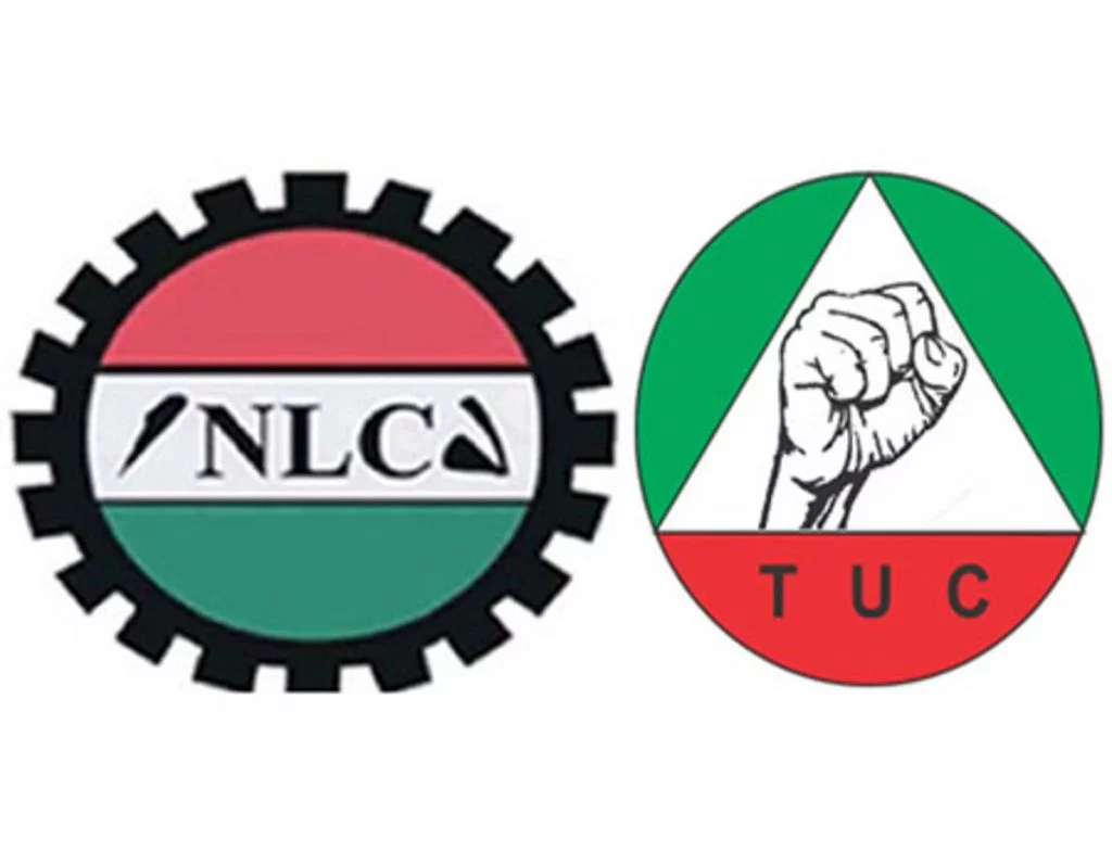 nlc tuc 1 1024x796 2