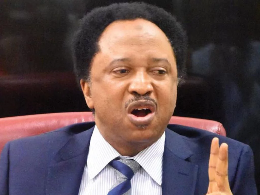 shehu sani 1024x768 1